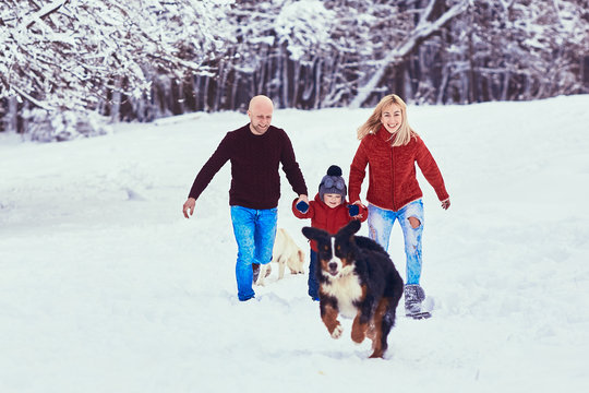 The mother,father ,son and dogs walking along park
