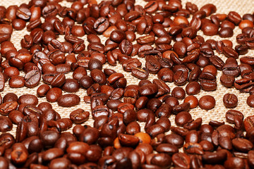 Grains of tasty roasted coffee on the background of cloth burlap