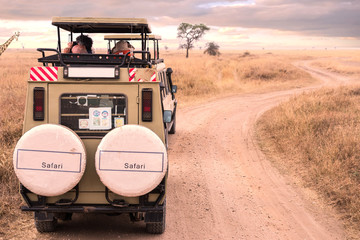 Safari Jeep in Serengeti National Park,Tanzania - obrazy, fototapety, plakaty