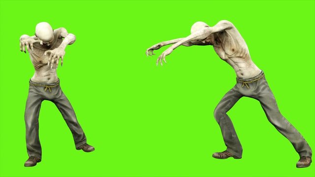 Walk a zombie - seperated on green screen. Loopable. 4k.
