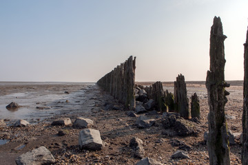Coastal view with wooden poles in Netherlands
