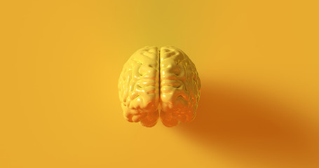 Yellow Human brain Anatomical Model 3d illustration