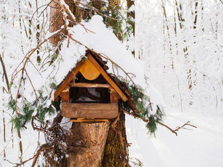 Photo feeders with snow on tree