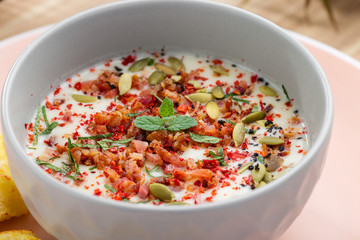Vegetable cream soup (veloute) in bowl with croutons