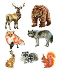 Set of watercolor painted woodland animals 