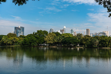 Fototapeta premium Bangkok - Lumpini Park am Morgen