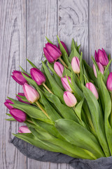Pink tulips on a gray background. Free space