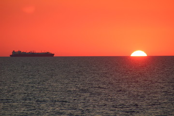Fototapeta premium Der Sonne entgegen