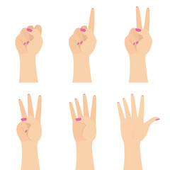 Elegant Woman Hands Counting to Five Flat Vector Illustration Set Isolated on White