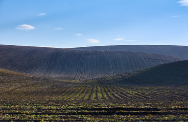 plowed fields on the hills under a clear blue sky