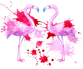 Watercolor painted illustration couple flamingo and splashes
