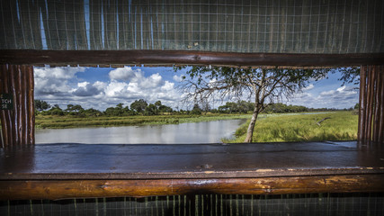 Bird hide in Mapungubwe National park, South Africa