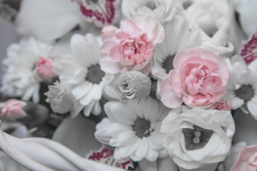 Pink flowers