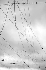 Fototapeta premium Wires