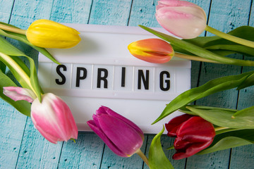 Spring