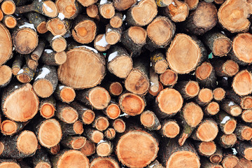Natural wooden logs background, stacked firewood.