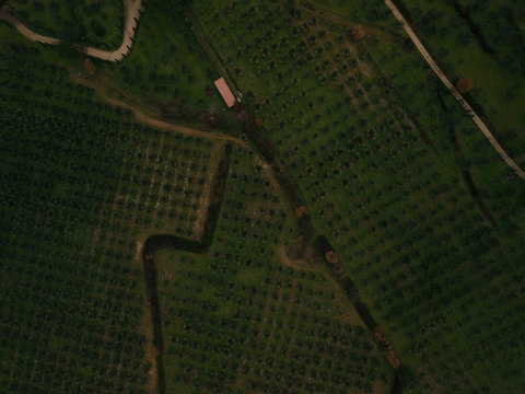 Landscape aerial - Powered by Adobe