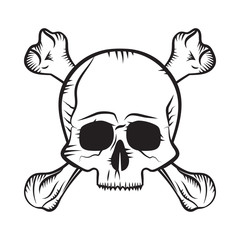 human skull and crossbones