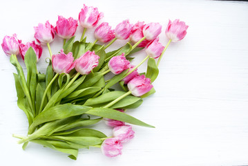 Букет розовых тюльпанов на белом фоне
