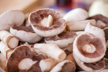 Preparing mushrooms for barbecue on holiday. Just picked and chopped mushrooms in bowl. Cooking vegetables. Delicious meal for vegetarians and vegans.