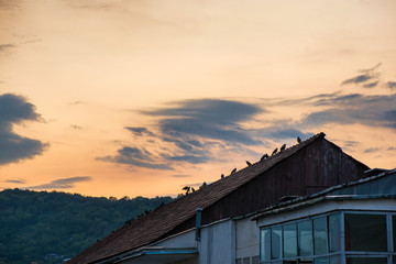 Birds sitting on house roof on romantic sunset background. Storm is coming. Mountain village in the background