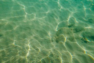 Green underwater background.