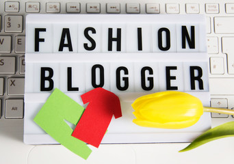 Fashion Blogger