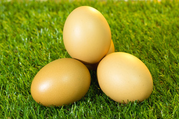 Eggs are placed on artificial grass.