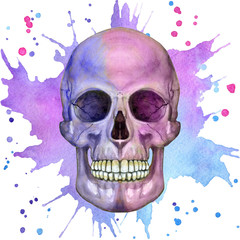Colorful human skull on abstract background.