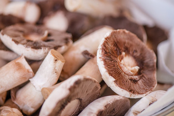 Preparing mushrooms for barbecue on holiday. Just picked and chopped mushrooms in bowl. Cooking vegetables. Delicious meal for vegetarians and vegans