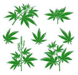 Cannabis, marijuana set. Vector