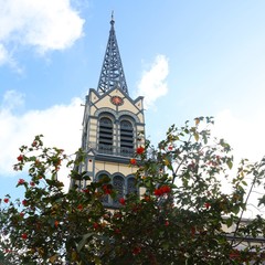 The beautiful tower of St Louis cathedral in Fort-de-France (Martinique)  with red flowering flame tree in front