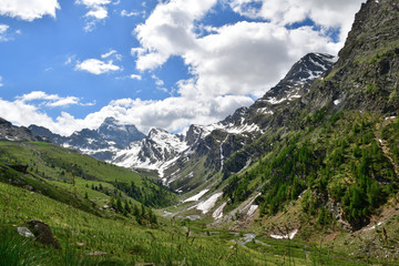 Fototapeta na wymiar Réserve Naturelle Nationale de Ristolas avec, en fond, le Mont Viso en Italie