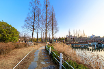 Fototapeta na wymiar Gimhae Yeonji Park