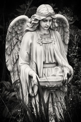 Weeping Angel