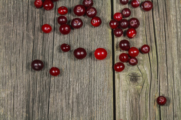 Still-life with cranberries