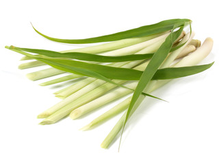 Zitronengras