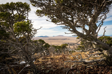 Capulin Volcano National Monument