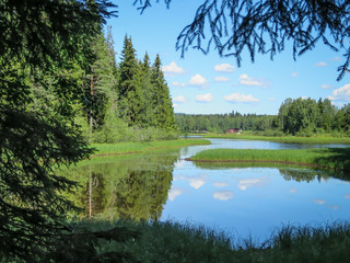 Scandinavian lake in summer with reflections of trees, forest and a beautiful blue sky 