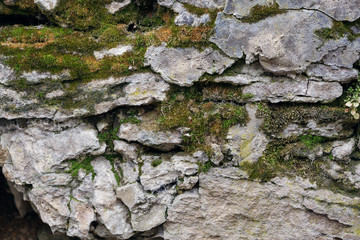 Old stones covered with moss, cobwebs, mushrooms
