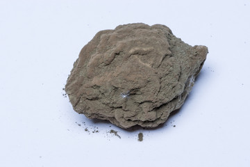 Zitrone mit Schadschimmel