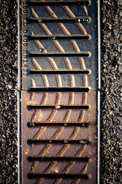 Iron grid on the asphalt positioned to drain the water