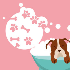 dog in bath grooming bubbles paw bone love pet domestic vector illustration