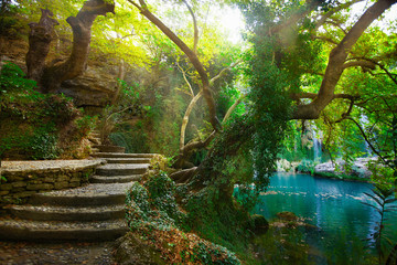 Wonderful magic waterfall mysterious background poster image