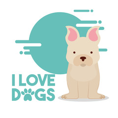 love dog sitting pet domestic animal vector illustration