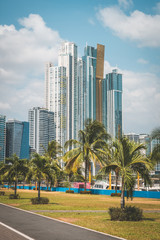 Fototapeta na wymiar skyscaper buildings and palm trees - Panama City