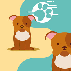 cute pair dogs sitting and paw print vector illustration
