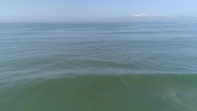 Aerial of surfers on the ocean