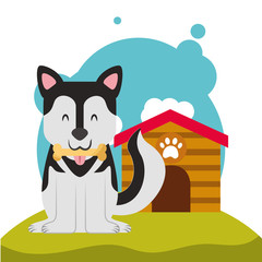 cute puppy dog bone in mouth and dog house in the meadow vector illustration