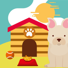 pet dog sitting with food and toy ball dog house vector illustration